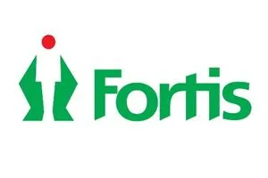 Partner 1